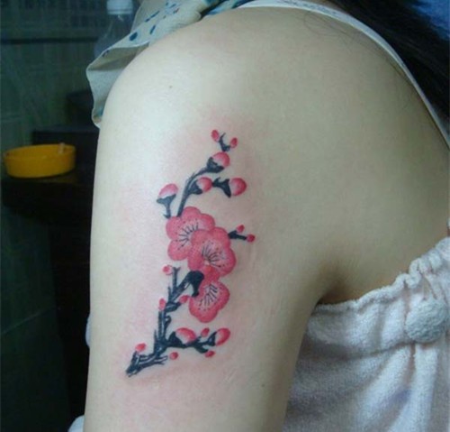 宝剑锋从磨砺出  梅花香自苦寒来