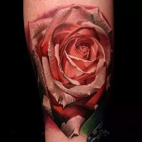 路边的野花不要采  自家的花儿最娇艳