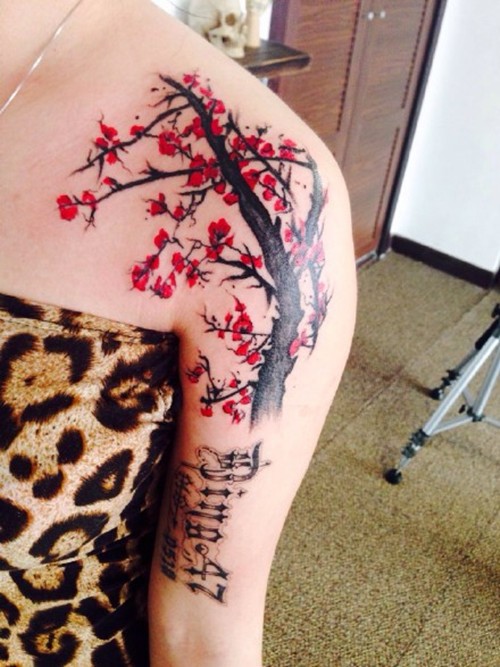 宝剑锋从磨砺出  梅花香自苦寒来