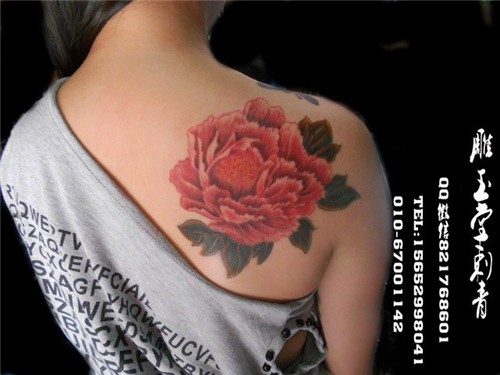 美女纹身   手臂纹身  蝴蝶纹身