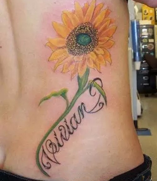 心有阳光  向阳花开