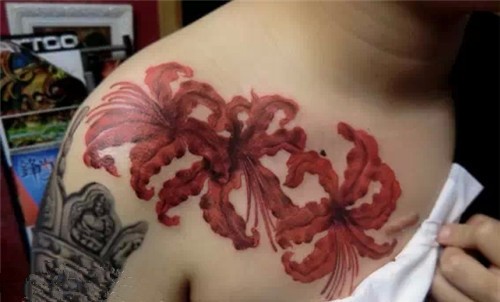 天界之花--曼珠沙华