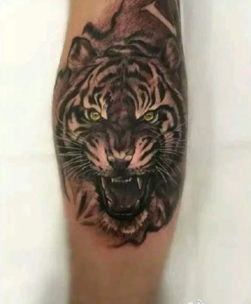 个性动物写实纹身