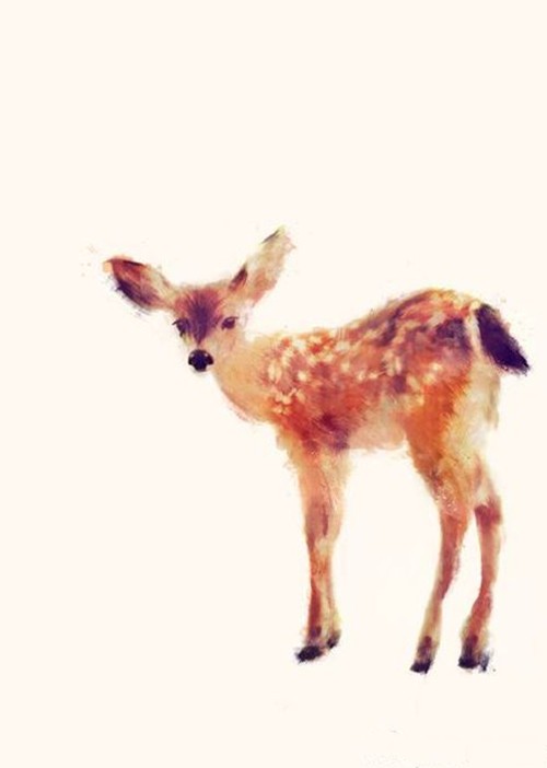 萌萌哒小动物纹身手稿