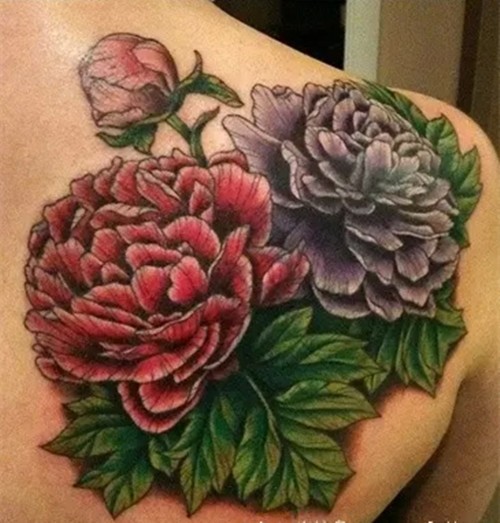 唯有牡丹真国色  花开时节动京城