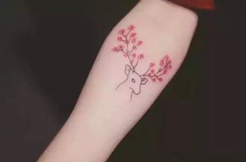 值得一看的清新小图案纹身