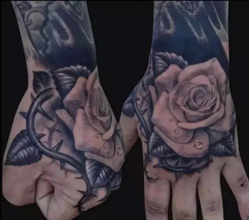 失去颜色依旧绽放的玫瑰花