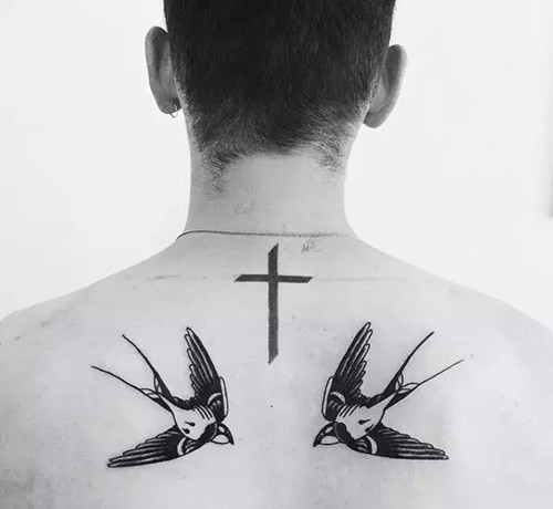 双燕复双燕  双飞令人羡