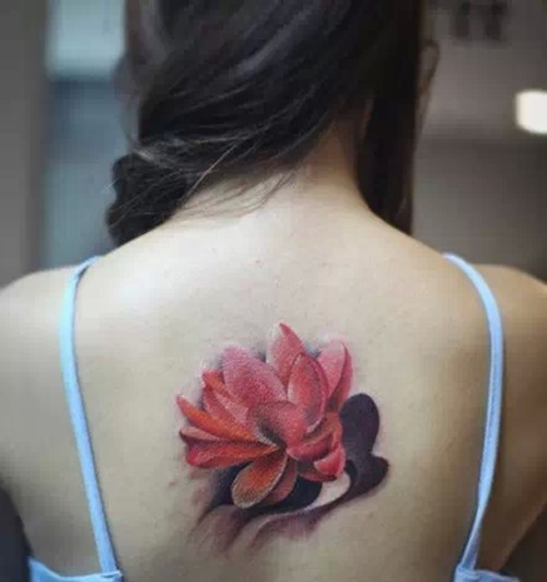 莲花绽放   洗净铅华