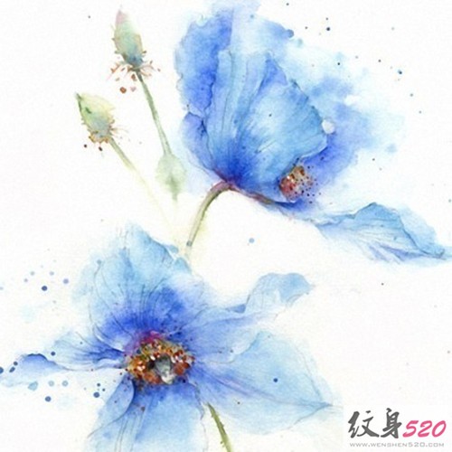 唯美泼墨花朵纹身手稿集