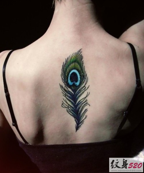 推荐一组好看的孔雀羽纹身