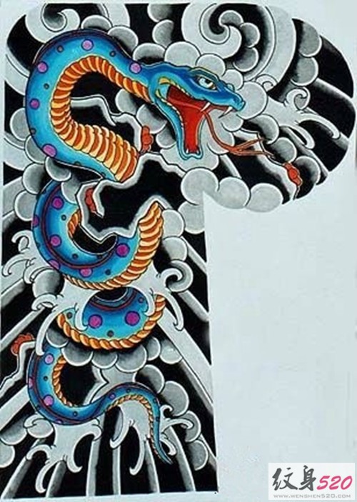 各类蛇纹身手稿素材欣赏