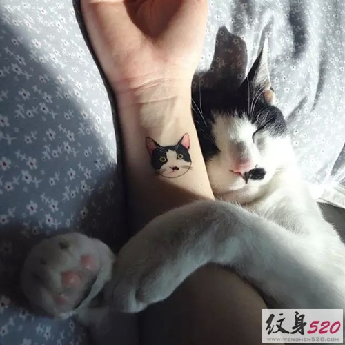 萌化人心的小猫咪纹身