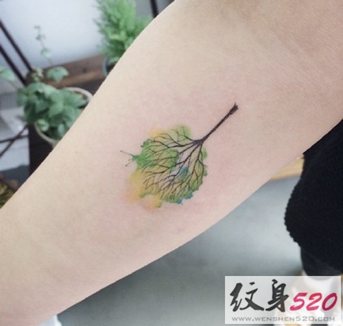 人人都爱的小清新植物纹身