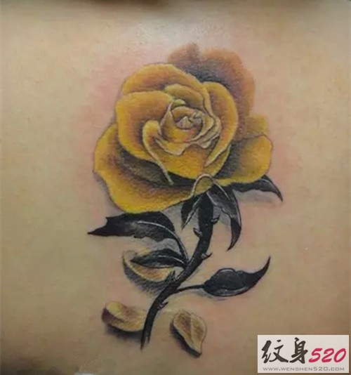 最美的礼物  玫瑰纹身