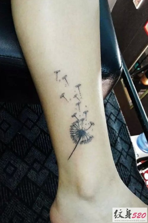 简约清新的蒲公英纹身