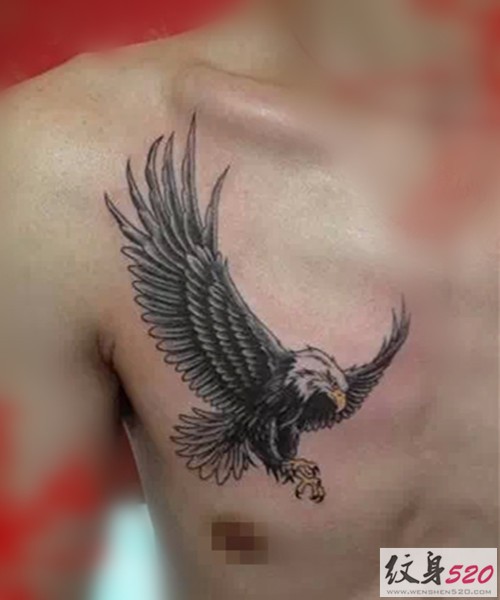 男性喜爱的雄鹰纹身图案