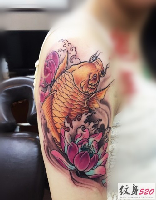 一组鲤鱼莲花纹身图片