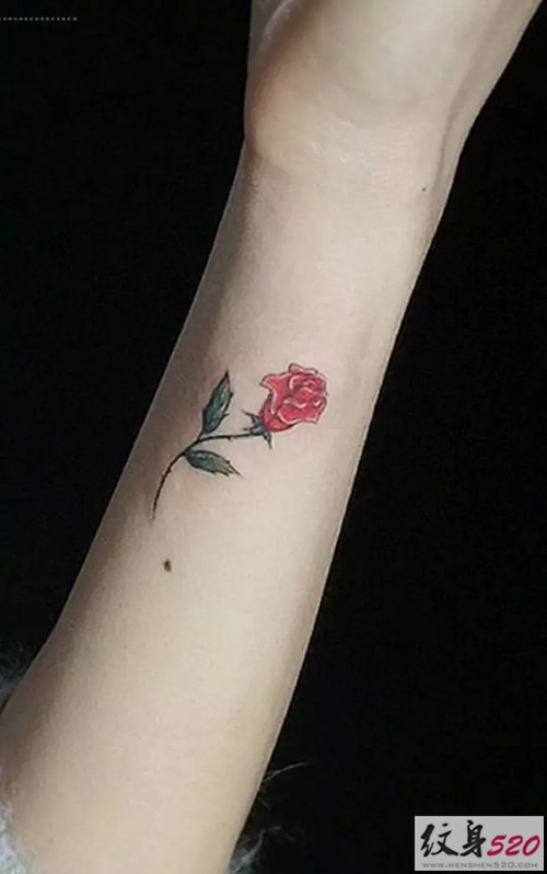 小清新系列之小小花纹身图案大全