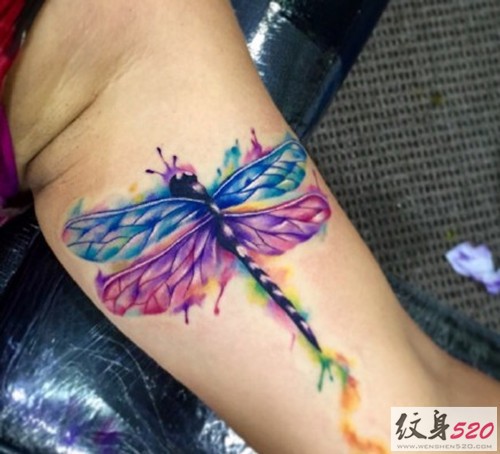 超赞的水彩蜻蜓纹身图案