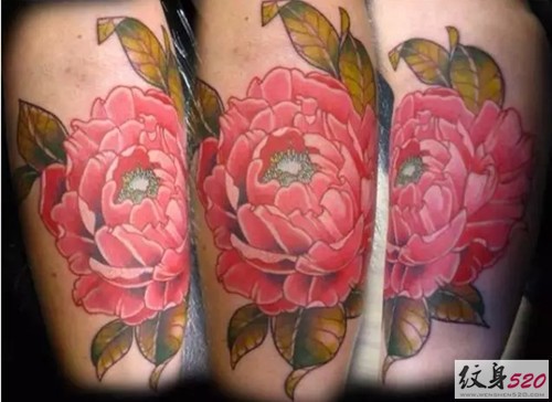 富贵花开  大红牡丹纹身