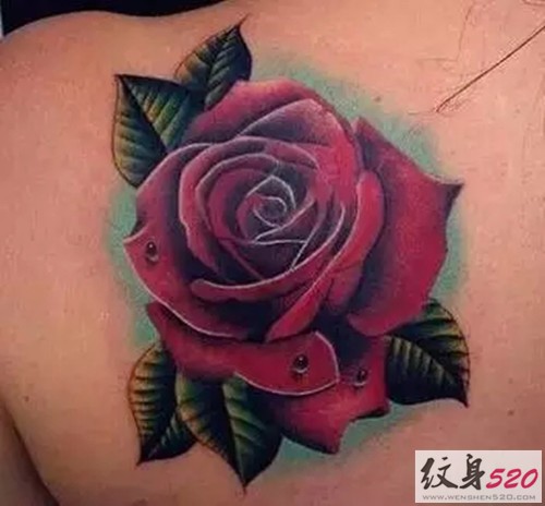 娇艳的红玫瑰纹身