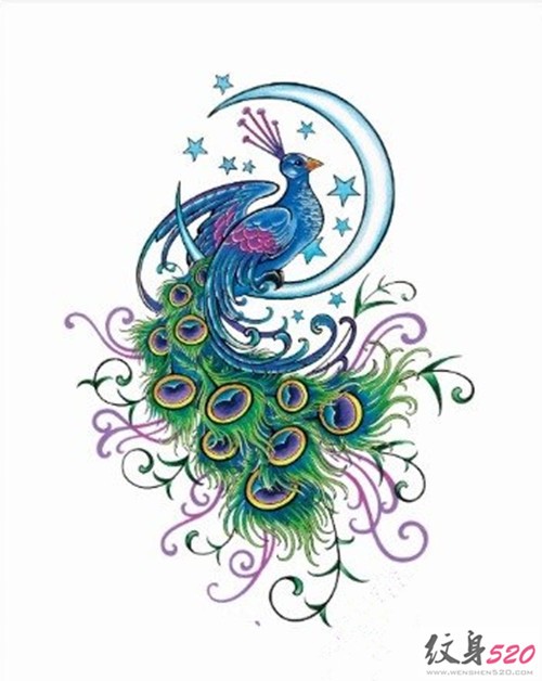 华美的孔雀纹身手稿欣赏