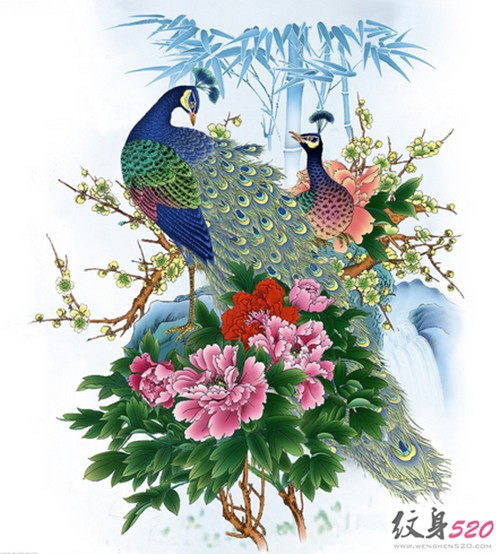 华美的孔雀纹身手稿欣赏