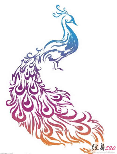 华美的孔雀纹身手稿欣赏