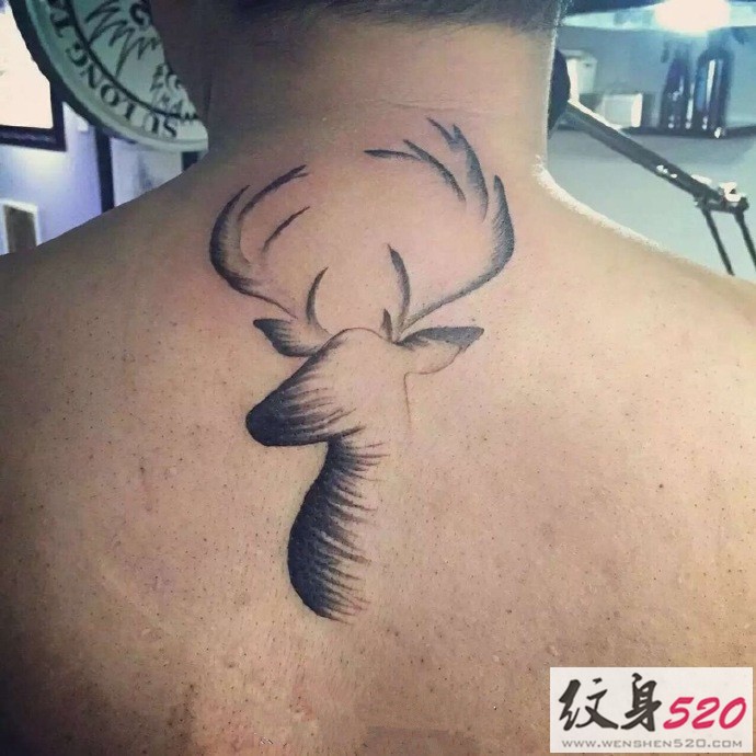 小清新麋鹿鹿角纹身图案缩略频道推荐图