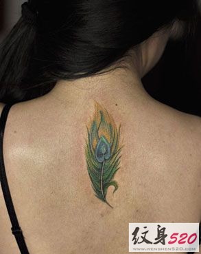 背部美丽精致的孔雀翎孔雀羽毛纹身