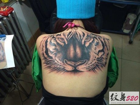 背部逼真写实的老虎纹身