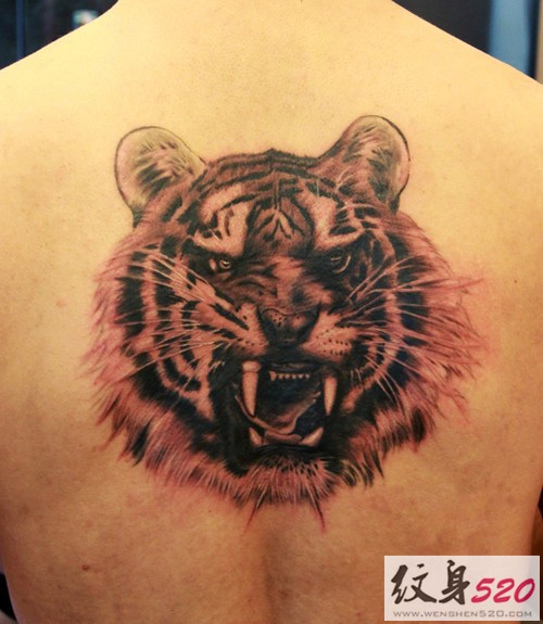 背部逼真写实的老虎纹身