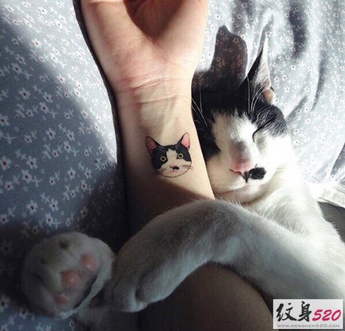 猫奴最爱的猫咪纹身