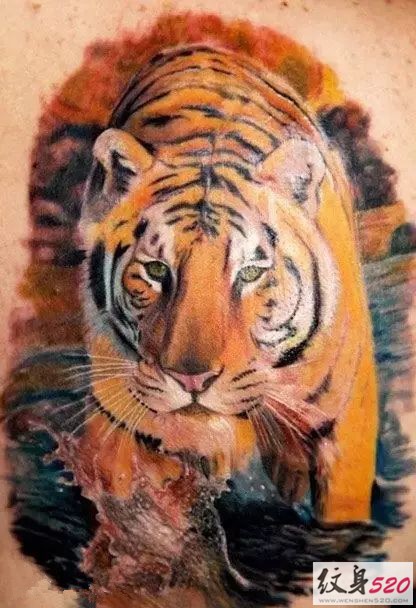 男人都很喜欢的凶猛老虎纹身