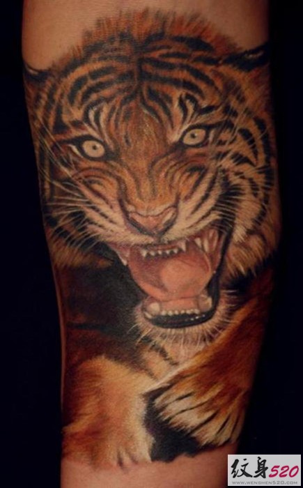 男人都很喜欢的凶猛老虎纹身
