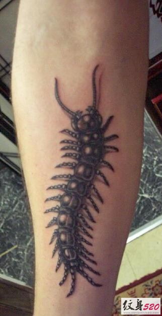 时尚经典的蜈蚣纹身图案大全