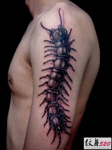 时尚经典的蜈蚣纹身图案大全