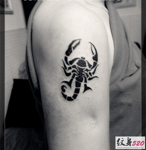 一组个性精致的蝎子图腾纹身
