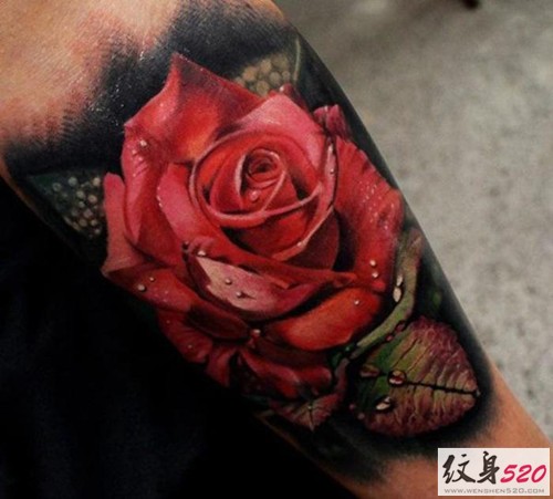 娇艳欲滴的红玫瑰纹身图案