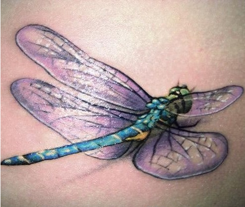 漂亮的3d蜻蜓纹身图案