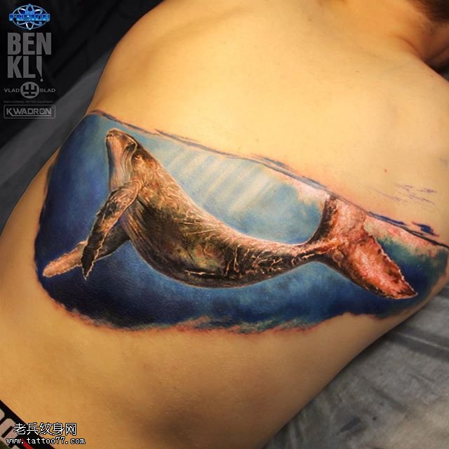 背部彩绘大鲨鱼纹身图案