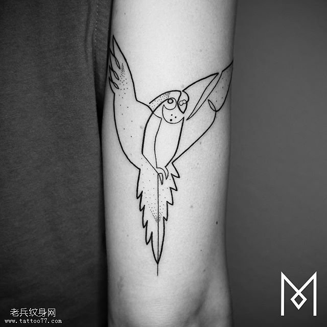 胳膊上点刺鹦鹉纹身图案