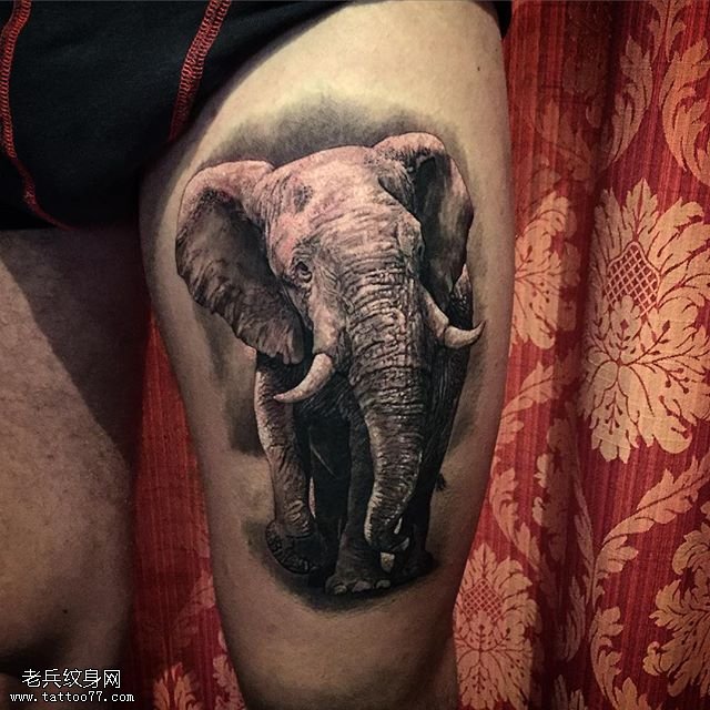 大腿写实点刺大象纹身图案