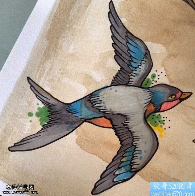 手稿一款彩色燕子纹身图案