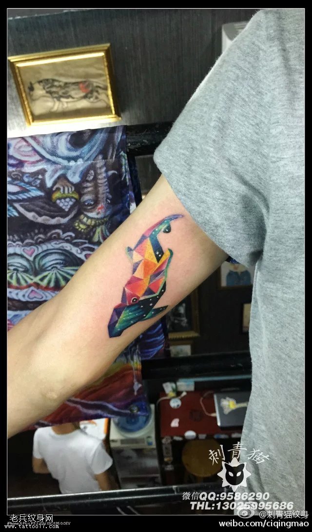 胳膊上几何元素星空鲨鱼纹身图案