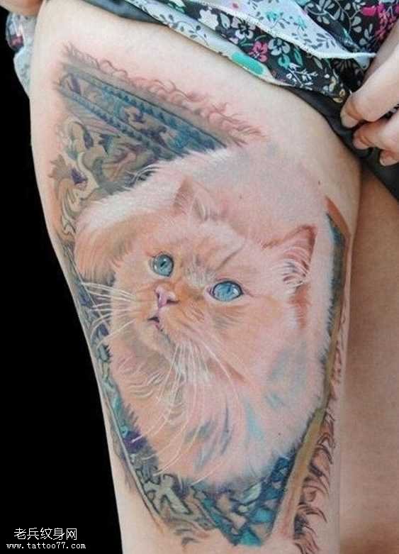 腿部一组猫咪纹身图案