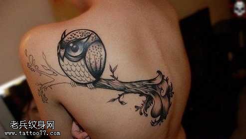背部猫头鹰纹身图案