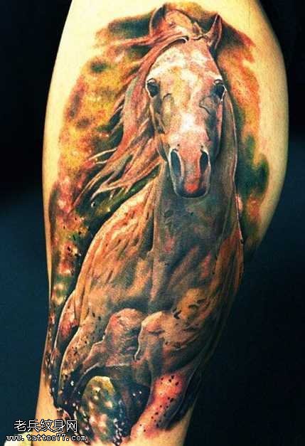 腿部马纹身图案