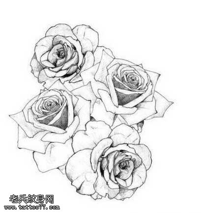 玫瑰花纹身图案